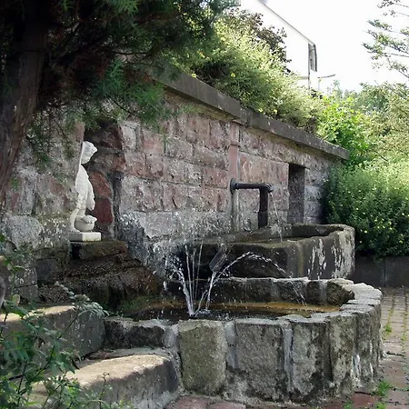 阿克岑弗兰肯布鲁嫩酒店 4*