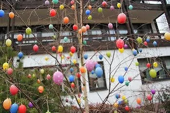 阿克岑弗兰肯布鲁嫩酒店 酒店 4*