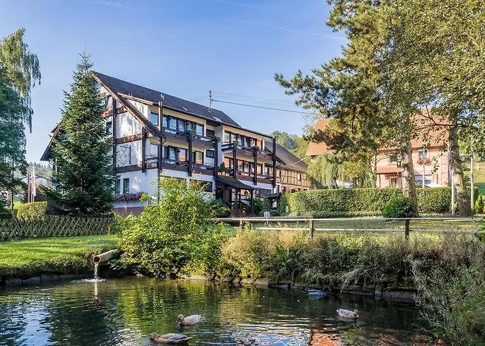 Отель Akzent Frankenbrunnen