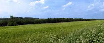 Akzent Frankenbrunnen 4*